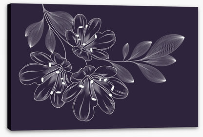 Lily trio flourish