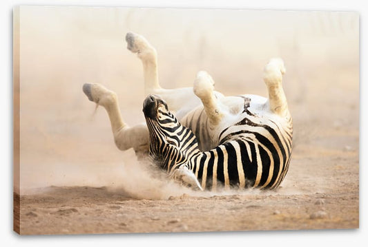 Mammals
