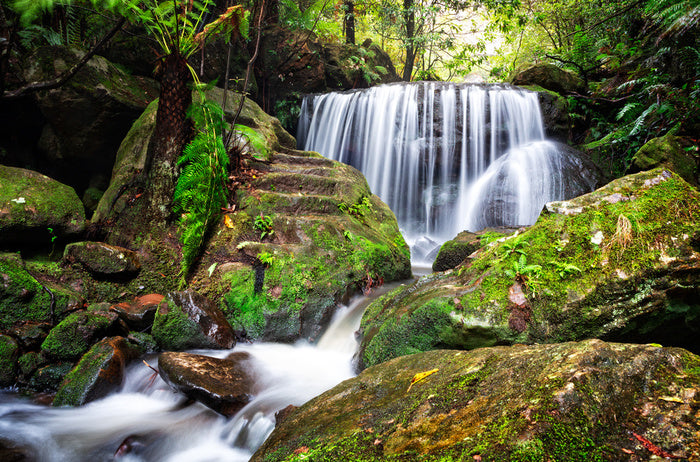 Leura falls