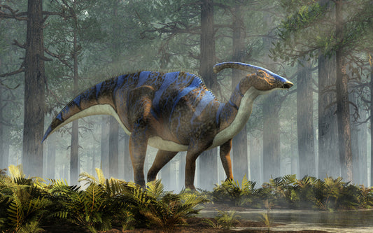 Parasaurolophus patrol