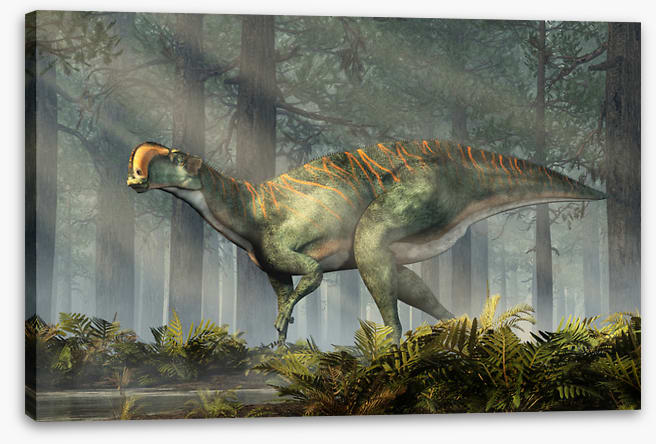 Dinosaurs