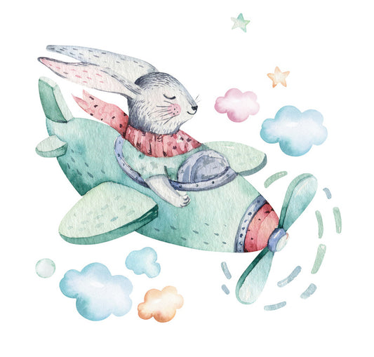 Bunny in a biplane