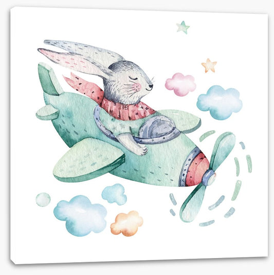 Bunny in a biplane