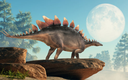 Stegosaurus lookout
