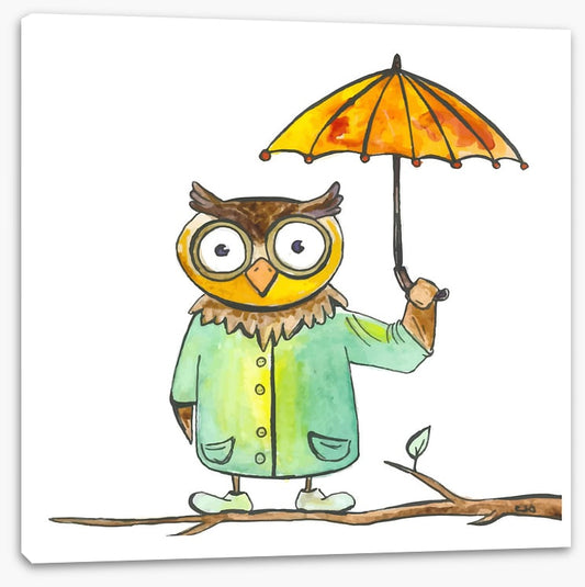Owls