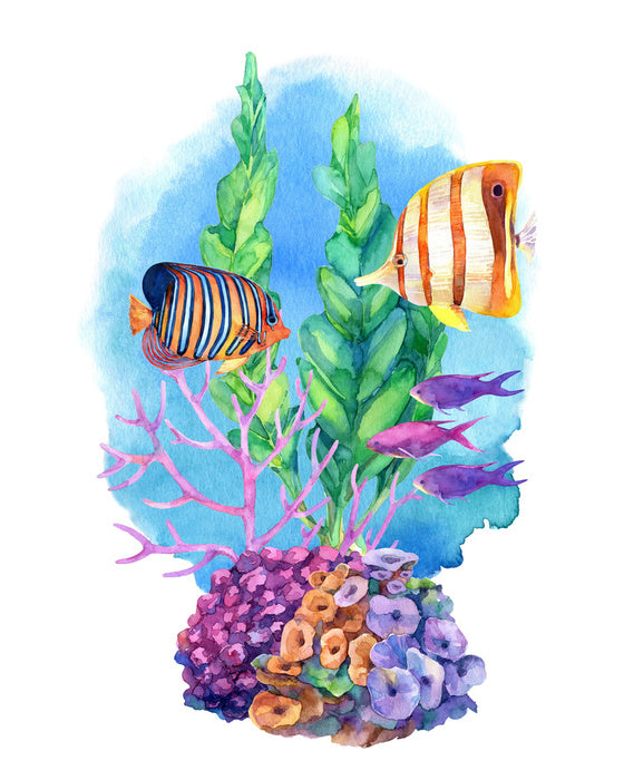 Coral camouflage I