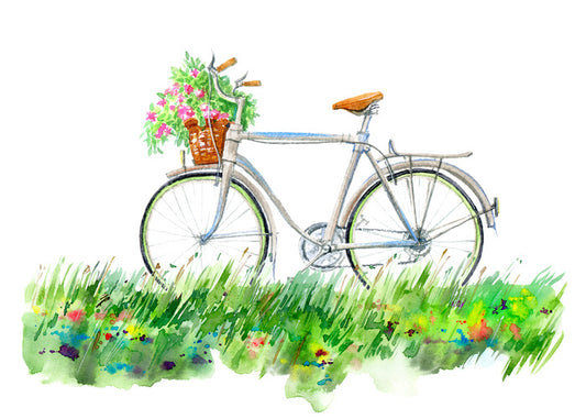 Transport