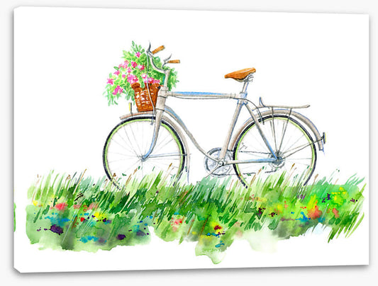 Transport
