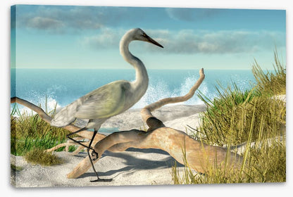 White egret beach