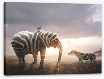 Surprise in stripes