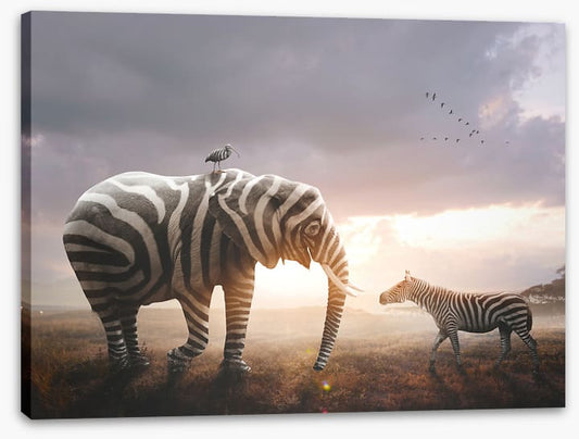 Surprise in stripes