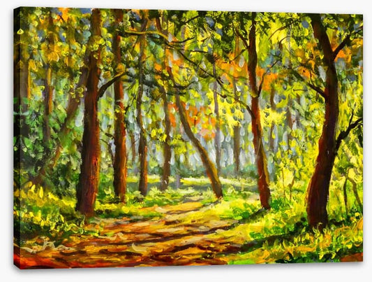 In the sunny forest