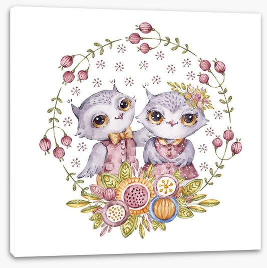 Owls