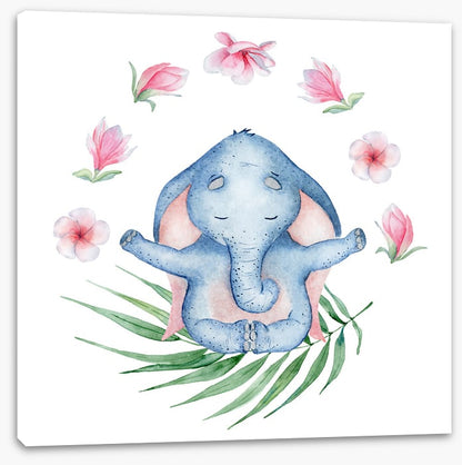 Elephants