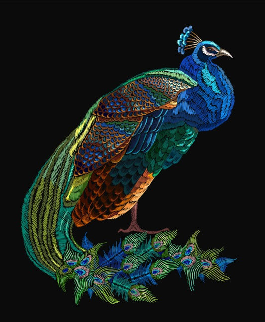 Birds