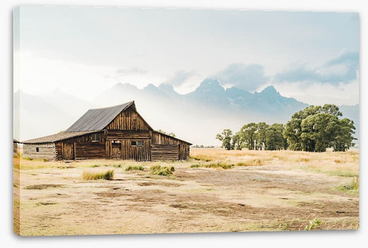 Beyond the barn