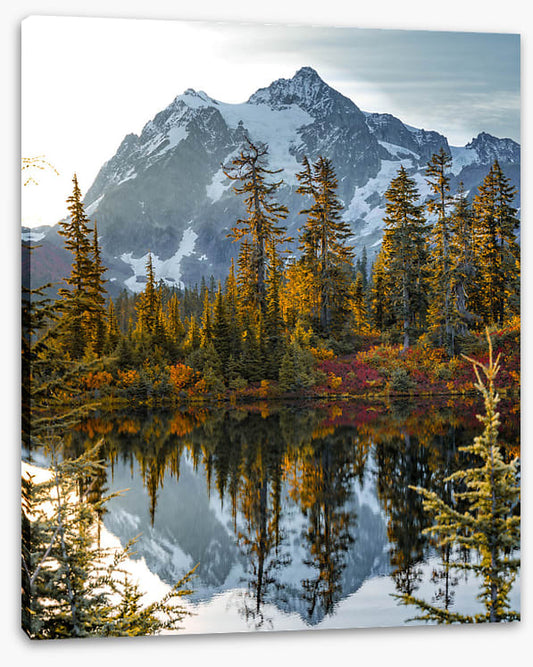 Peaks and pine