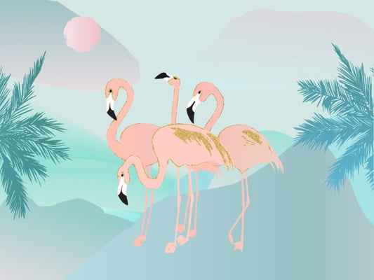 Birds
