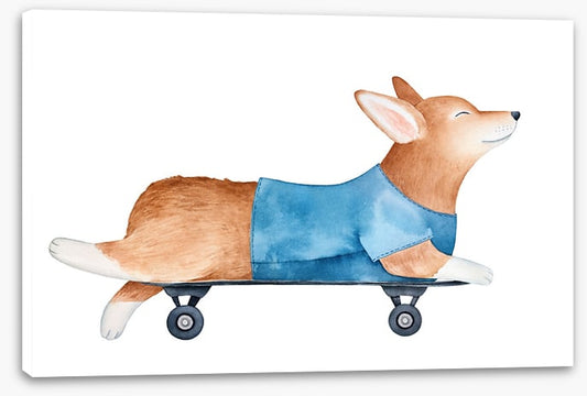 Sleepy skater