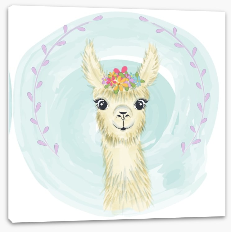 Little llama