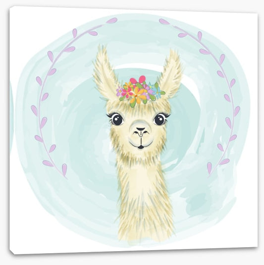 Little llama