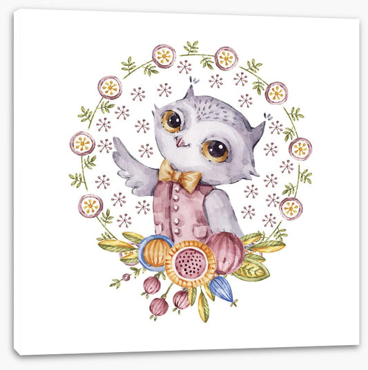 Owls