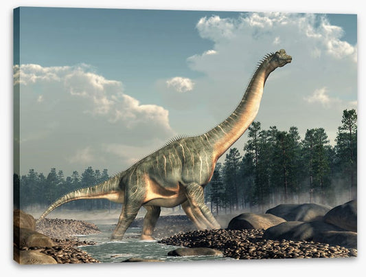 Brachiosaurus roam
