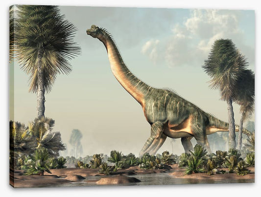 Brachiosaurus browse