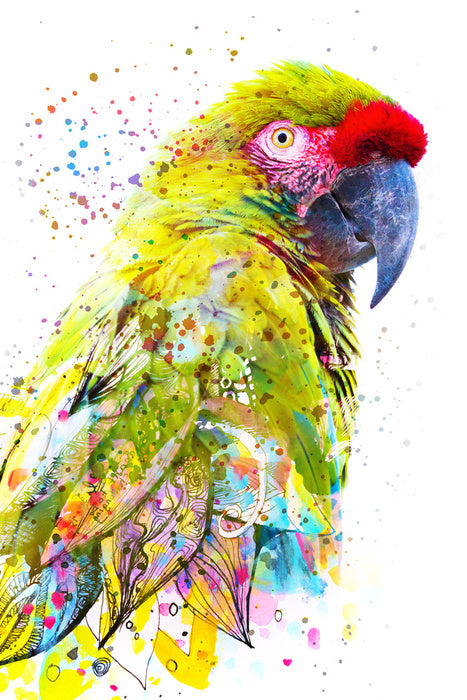 Party plumage I
