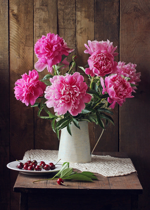 Still Life