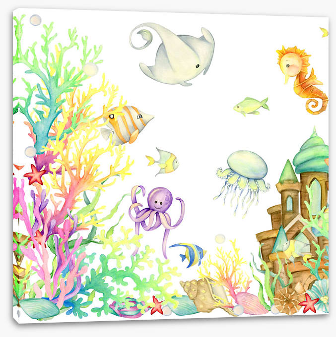 Hide and seaweed