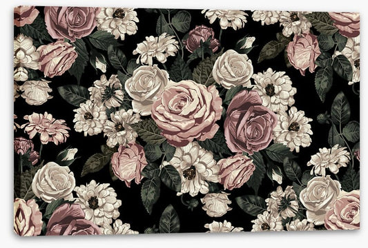 Midnight rose