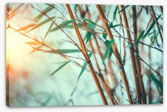 Bamboo breeze