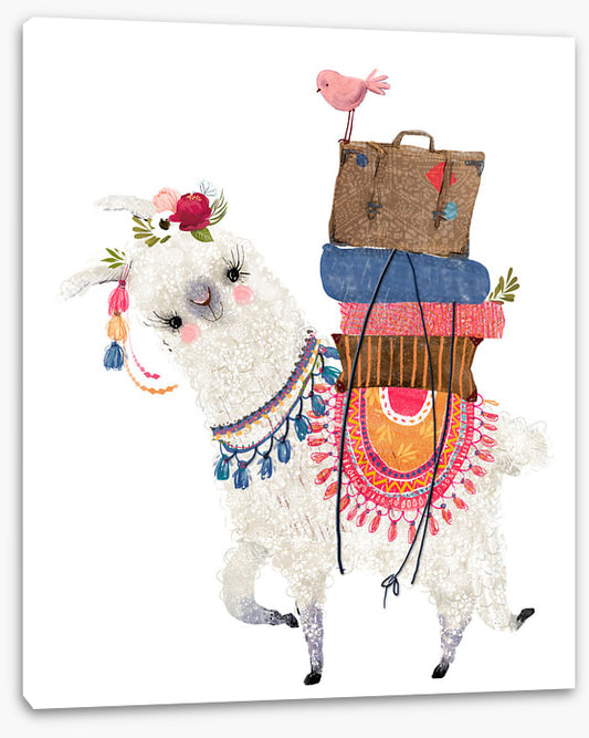 Alpaca packed