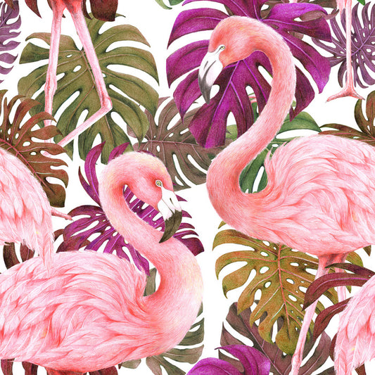 Flamingo dawn