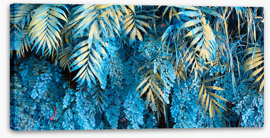 Leaves