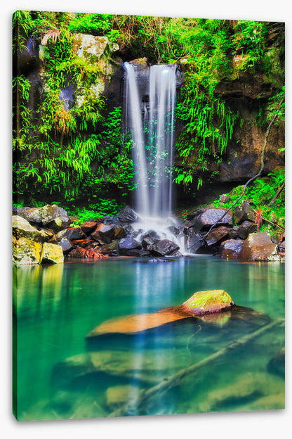 Tamborine falls