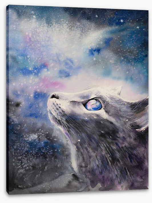 Cosmic cat