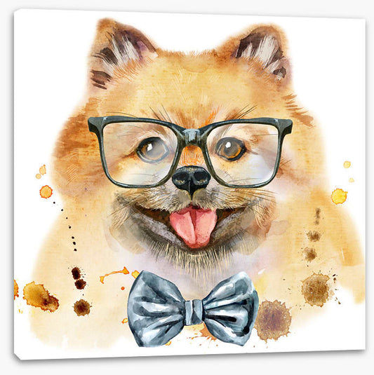 Mr Spitz