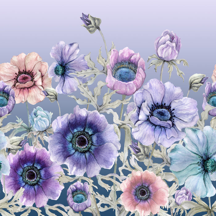 Awakening anemone