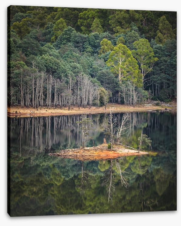 In the forest lake