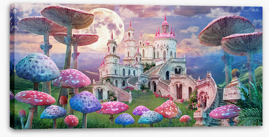 Castle of the wonderland