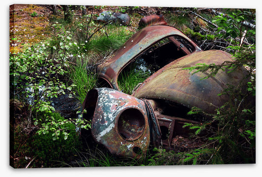 Forgotten by time