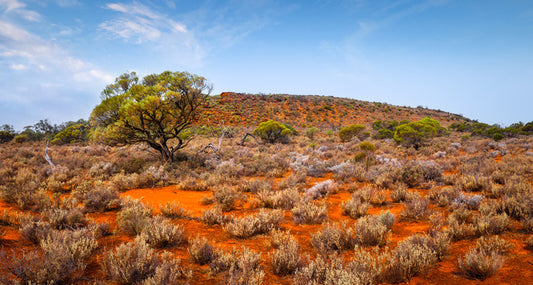 Outback