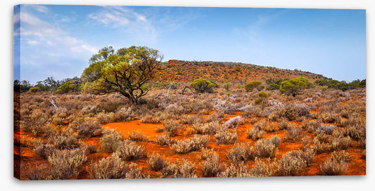 Outback