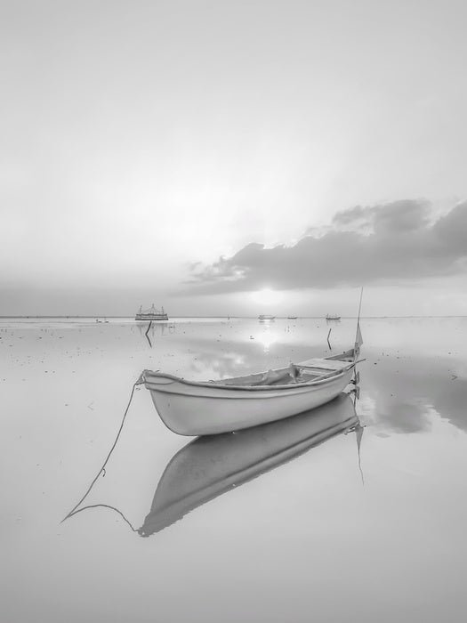 Mirror in mono