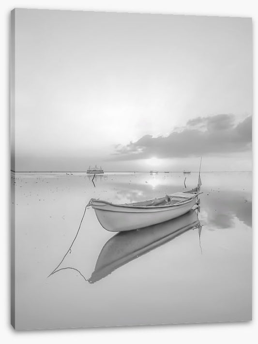 Mirror in mono