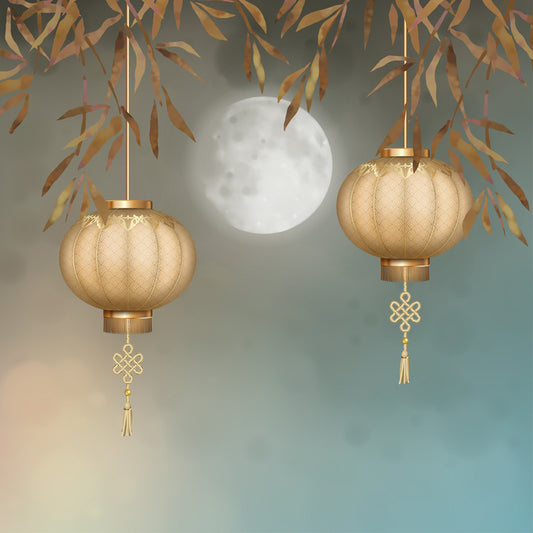 Paper lantern moonlight