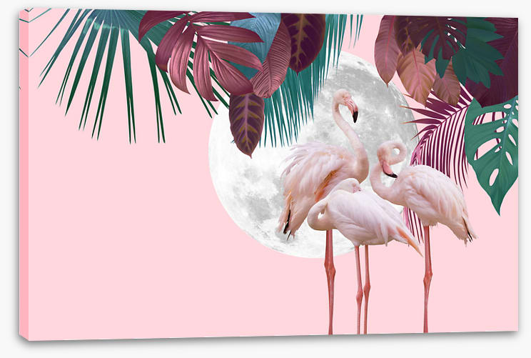 Full moon flamingos
