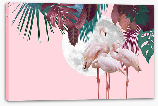 Full moon flamingos